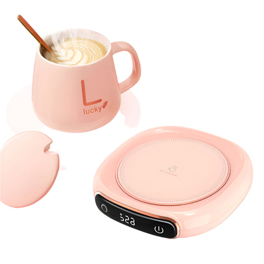 Încălzitor Electric cu Temperatură Constantă